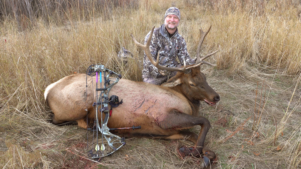 Bad Boys Protection Collars (3-Pack)