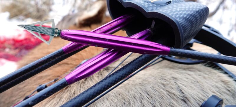 Bad Boys Protection Collars (3-Pack)