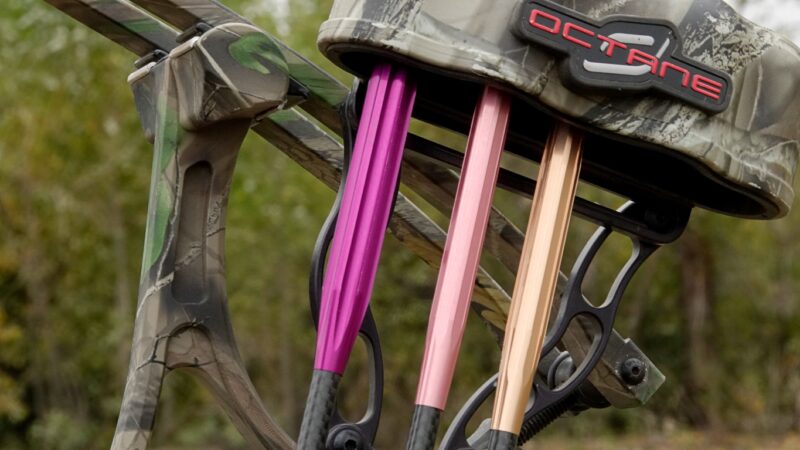 Bad Boys Protection Collars (3-Pack)